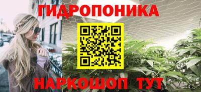 гидропоника Кимры