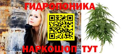 гидропоника Кимры