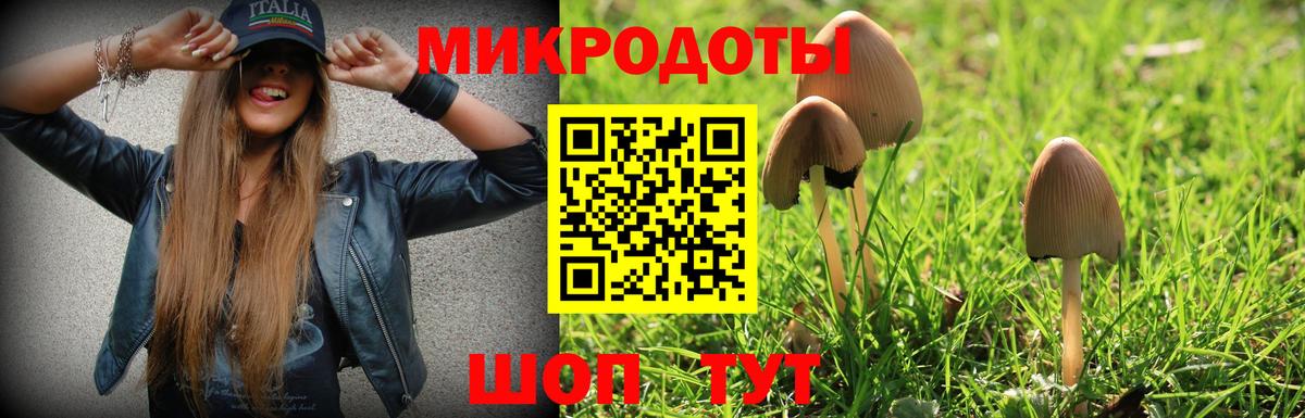 Галлюциногенные грибы Psilocybine cubensis Кудрово