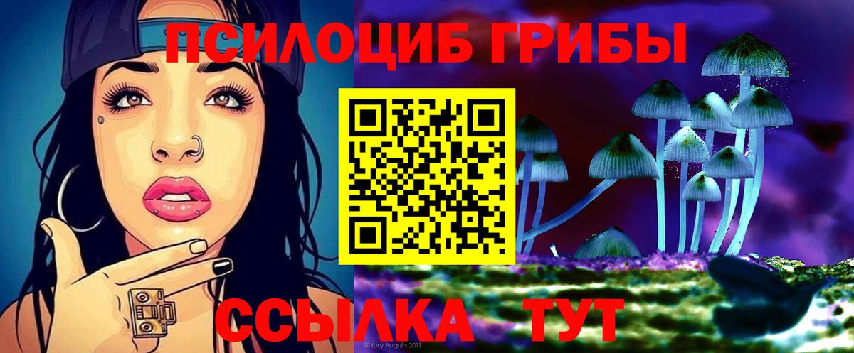 Кудрово  Галлюциногенные грибы Magic Shrooms  Вход с VPN 