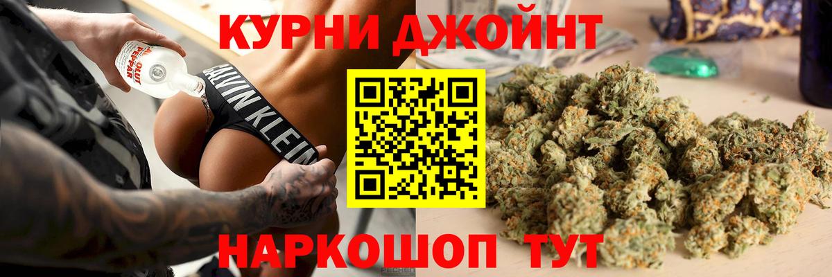 Бошки Шишки планчик Кудрово